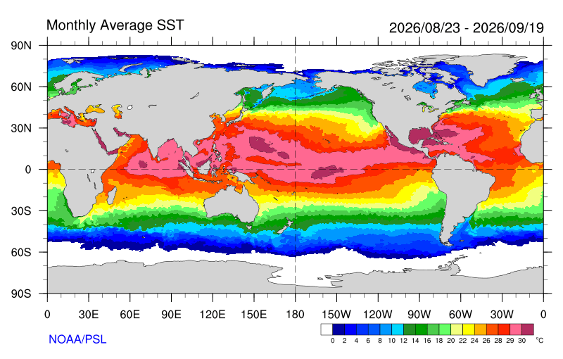 Temperatura superficial del mar actual
